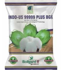 Cotton Indo US 99999 Plus BG II (Pack of 3)